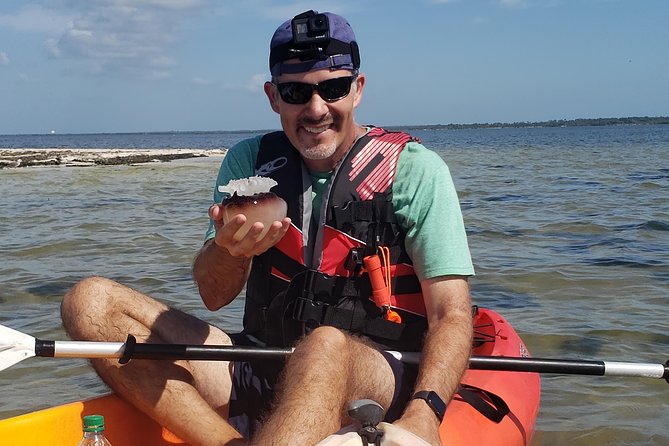 Manatee and Dolphin Kayaking | Wildlife Refuge (Titusville) - Who should book this kayak tour (and who might want a different plan)