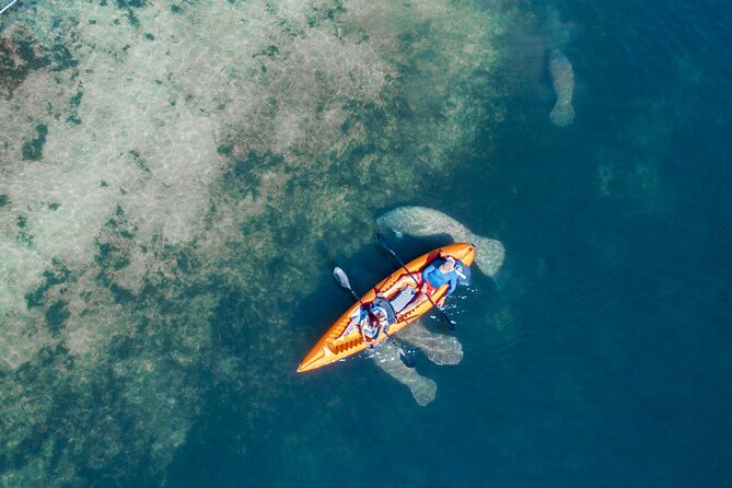 Manatee Kayak Encounter - What the tour includes: kayak, paddles, and a lifejacket
