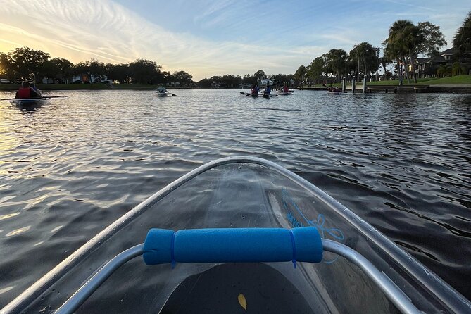 Manatee Season Clear Kayak Tour of Tarpon Springs - Key highlights you’ll feel on the water