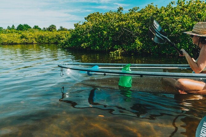 Manatee Season Clear Kayak Tour of Tarpon Springs - Why Tarpon Springs manatee season is worth your winter plan