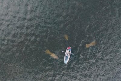 Manatee Season Clear Kayak Tour of Tarpon Springs - Getting set up at Belle Harbour Marina before you paddle