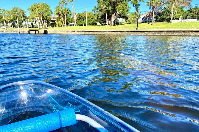Manatee Season Clear Kayak Tour of Tarpon Springs - Stop 3: Spring Bayou, Golden Crescent views, and manatee odds