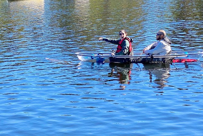 Manatee Season Clear Kayak Tour of Tarpon Springs - Clear kayaks: what you’ll actually see and how it affects your comfort