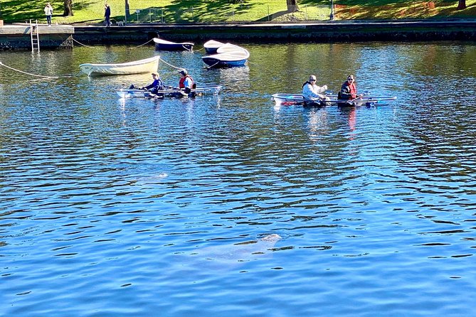 Manatee Season Clear Kayak Tour of Tarpon Springs - Price and value: is $79 fair for 2 hours of wildlife time?