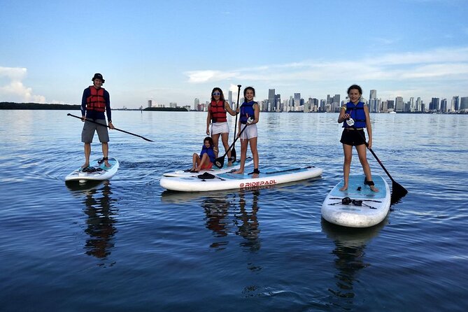 Manatee Season Guided Paddle Tour from Virginia Key - Wildlife to Expect: More Than Just Manatees