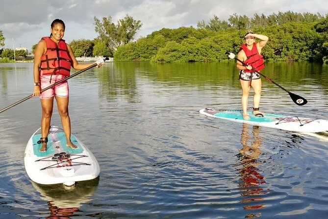 Manatee Season Guided Paddle Tour from Virginia Key - Who Should Book This Manatee Season Guided Paddle Tour