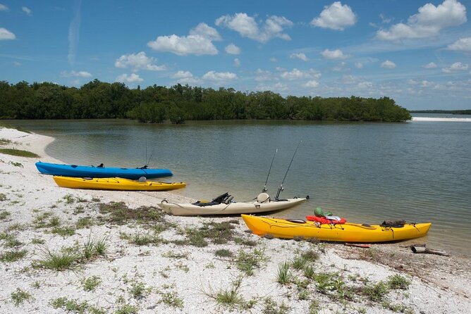 Manatees and Mangrove Tunnels Small Group Kayak Tour - Quick reasons this paddle is worth your time