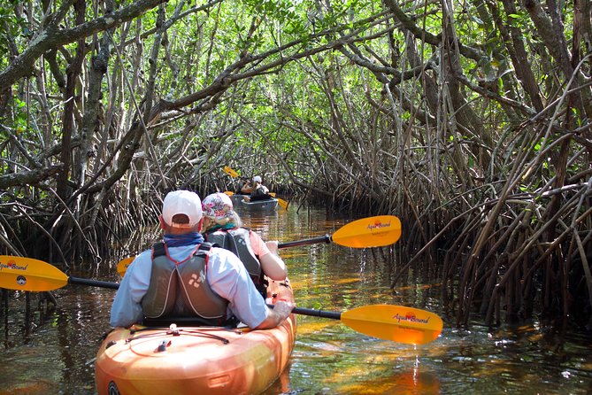Manatees and Mangrove Tunnels Small Group Kayak Tour - Mangrove Tunnels and Manatee Canals: the real reason to book