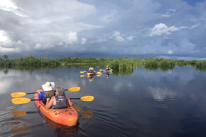 Manatees and Mangrove Tunnels Small Group Kayak Tour - Meeting at 25000 Tamiami Trail East: how the day starts smoothly