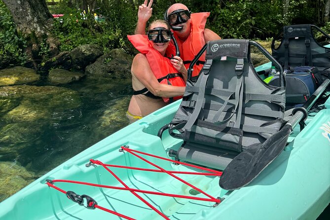 Manatees & Three Sisters Springs: Clear Kayak Tour + Snorkeling - Manatees without the pressure: how to think about sightings