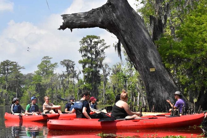 Manchac Swamp Extended 4-Hour Kayak Tour with Pickup - Key takeaways before you book
