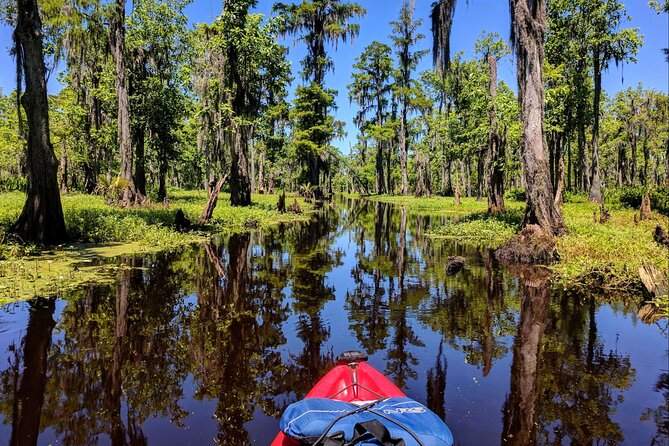 Manchac Swamp Extended 4-Hour Kayak Tour with Pickup - Where Manchac Swamp Kayaking Fits Into a New Orleans Trip