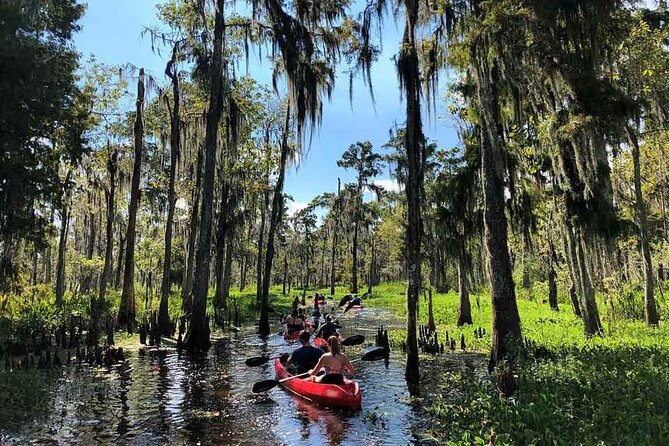 Manchac Swamp Extended 4-Hour Kayak Tour with Pickup - Getting to Maurepas: Pickup, Timing, and Where You Return