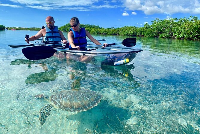 Mangrove Clear Kayak Tour - Key highlights you’ll care about before you book