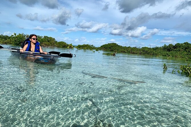 Mangrove Clear Kayak Tour - Meeting point in Leeward Settlement and how pickup works