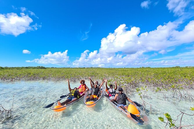 Mangrove Clear Kayak Tour - Stop at Mangrove Cay: why this area is so productive
