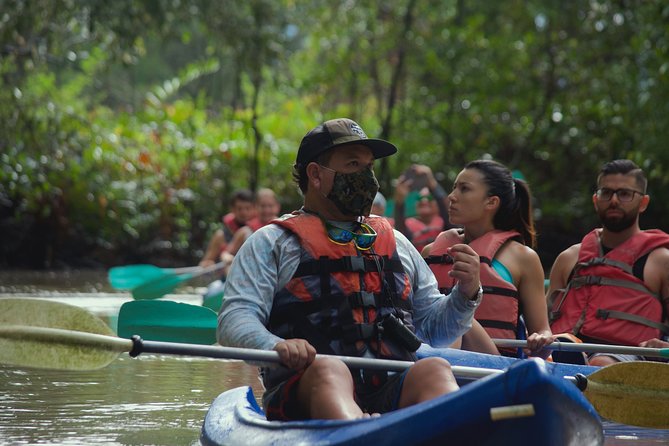Mangrove Damas Island Kayak Tours - Key Things I’d Plan For