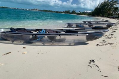 Mangrove & Iguana Clear Kayak Tour - Stop 1: Mangrove Cay Estuaries and the Wildlife Route You’ll See
