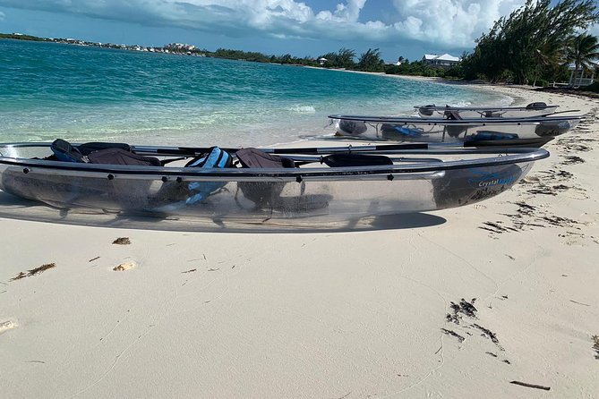 Mangrove & Iguana Clear Kayak Tour - Stop 1: Mangrove Cay Estuaries and the Wildlife Route You’ll See
