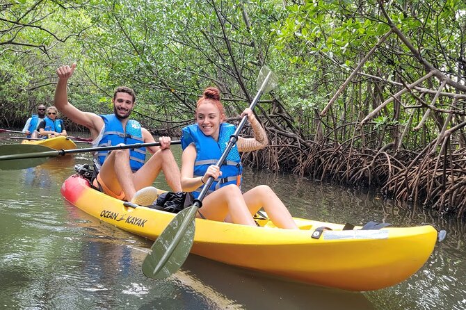 Mangrove Jungle Exploration on SUP/Kayak - Paddling Through Mangrove Channels: What You’ll Actually See