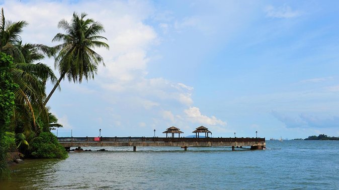 Mangrove Kayaking Adventure in Singapore - Key Highlights You Should Know