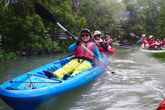 Mangrove Kayaking Adventure in Singapore - What Happens in the 4 Hours: Open Water, Then Mangrove Quiet
