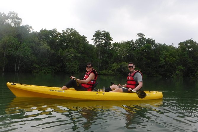 Mangrove Kayaking Adventure in Singapore - Price and Value: Is $85.59 Fair for What You Get?