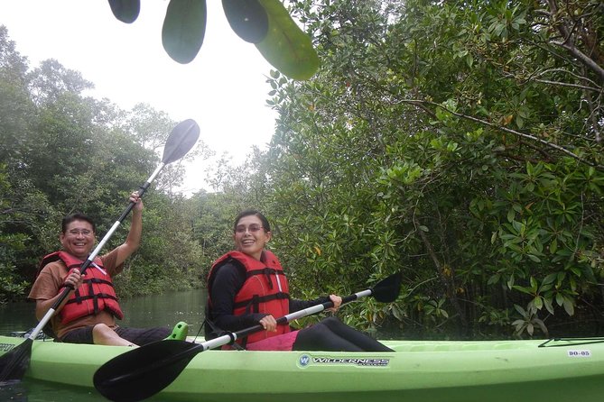 Mangrove Kayaking Adventure in Singapore - Group Size, Guide Quality, and a Realistic Expectation