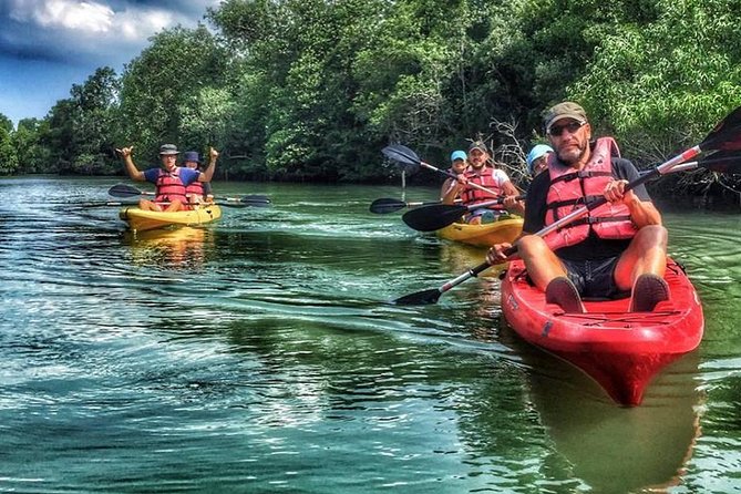 Mangrove Kayaking Adventure in Singapore - Kayak Setup for Beginners: Tandem Options and Safety Checks