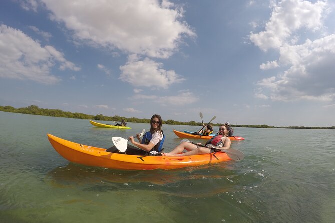 Mangrove Kayaking Purple Island Adventure - Guides and safety: the difference between okay and great