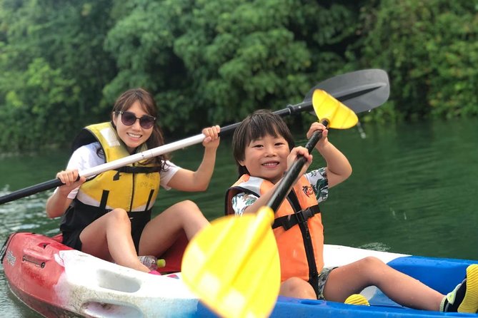 Mangrove kayaking to enjoy nature in Okinawa - Key things that make this mangrove kayak work in Okinawa