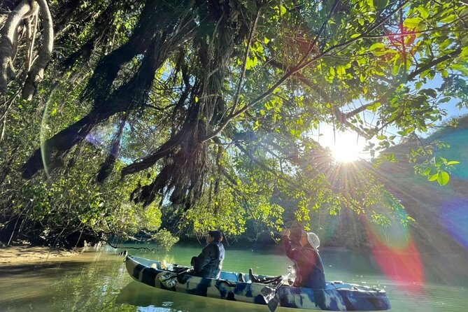 Mangrove kayaking to enjoy nature in Okinawa - Photos, comfort, and what to bring so you leave happy