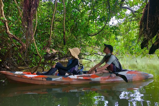 Mangrove kayaking to enjoy nature in Okinawa - Times and scheduling: five departures makes planning easy