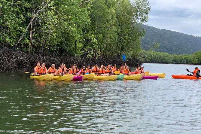 Mangrove Kayaking Tour from Langkawi - Key highlights you’ll care about