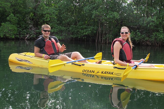 Mangrove Lagoon Kayak Rental in St Thomas - Price and Value: What $69 Per Person Really Buys