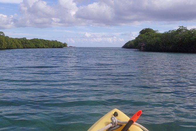 Mangrove Lagoon Kayak Rental in St Thomas - What the 8 Hours Looks Like on the Water