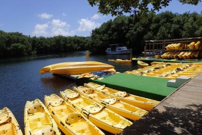 Mangrove Lagoon Kayak Rental in St Thomas - Where You Start: Mariendahl Road (Nadir) and How to Plan Arrival