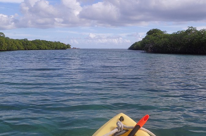 Mangrove Lagoon Kayak Rental in St Thomas - Getting Your Day Right: Timing, Sun, and Packing