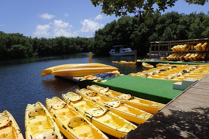 Mangrove Lagoon Kayak Rental in St Thomas - Where You Start: Mariendahl Road (Nadir) and How to Plan Arrival