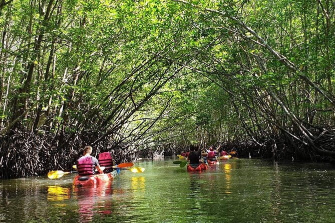 Mangrove Tour by Kayaking in Ko Lanta With Lunch - Tung Yee Peng Mangroves: calm paddling in a protected ecosystem
