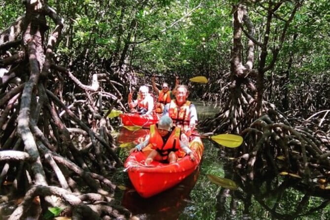 Mangrove Tour by Kayaking in Ko Lanta With Lunch - Kayaking route: wildlife you can actually see, plus monkey awareness