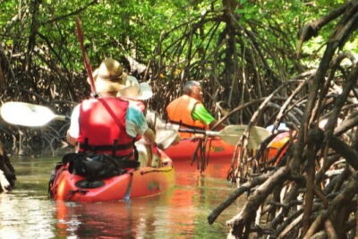 Mangrove Tour by Kayaking in Ko Lanta With Lunch - Fish farm stop: why it adds value beyond a kayak outing