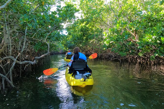 Mangrove Tunnel Kayak Adventure in Key Largo - Getting to the water: how the 3-hour paddle actually flows