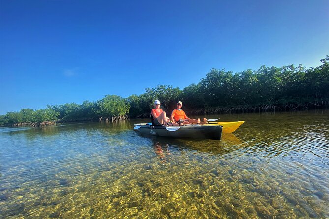 Mangrove Tunnel Kayak Adventure in Key Largo - Tandem vs single kayaks: how sharing affects comfort