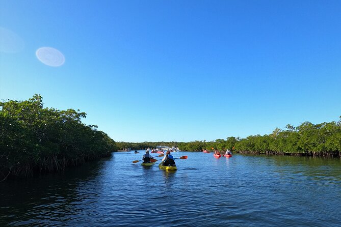 Mangrove Tunnel Kayak Adventure in Key Largo - Optional snorkeling: when it’s worth adding