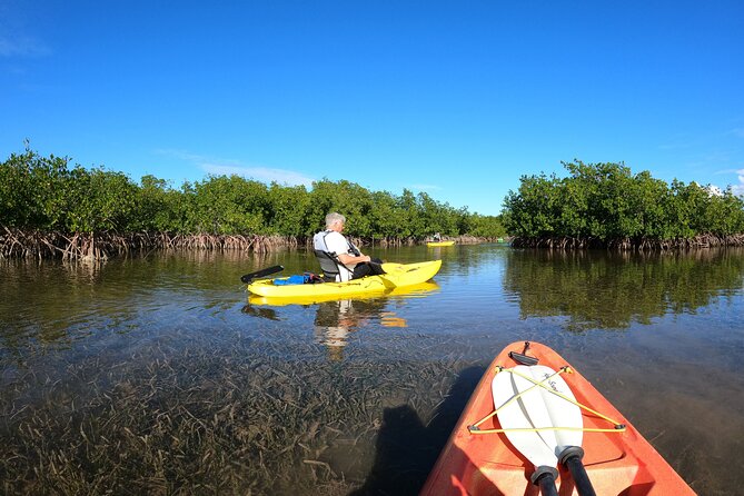 Mangrove Tunnel Kayak Adventure in Key Largo - Price and value: what $68 buys you in the real world