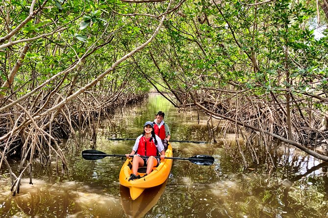 Mangrove Tunnel Kayak Eco Tour - What’s Included: Gear, Waterproof Storage, and Digital Photos