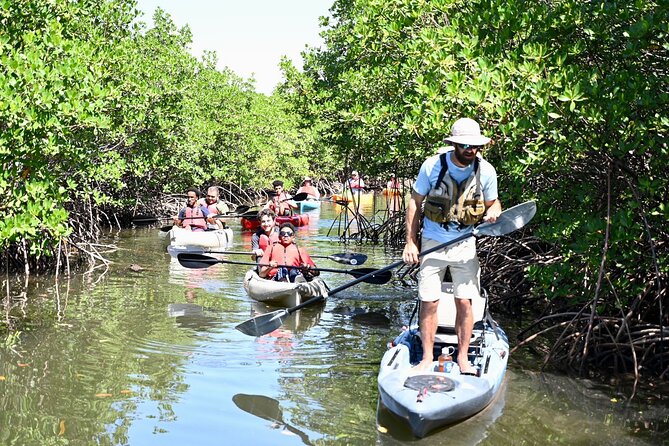 Mangrove Tunnel Kayak Eco Tour - The Guide Experience: Small Group Attention and Ariana’s Style