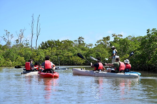 Mangrove Tunnel Kayak Eco Tour - Paddling Comfort: Who This Fits (and Who Might Want a Different Day)