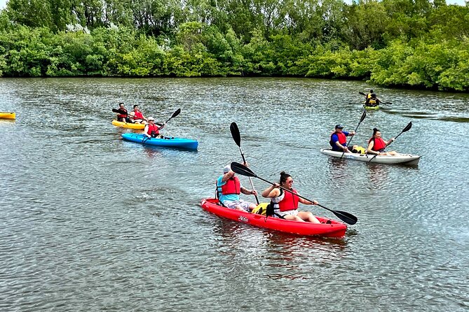Mangrove Tunnel Kayak Eco Tour - Price and Value: Why $75 Doesn’t Feel Like Just a Rental
